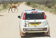 &bdquo;Fiat Panda&ldquo;