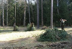 Kariai tvarko aplinką aplink Kazlų Rūdos poligoną
