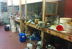 Seimo nario Manto Adomėno tėvas chemikas Povilas Adomėnas kaltinamas žmonių nuodijimu