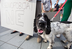 Protesto akcija, siekiant paraginti policiją geriau tirti neapykantos nusikaltimus