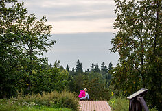 Rokanti&scaron;kių piliavietė