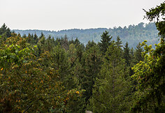 Rokanti&scaron;kių piliavietė