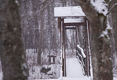 Stovyklavietė „Lakštingalų slėnis“