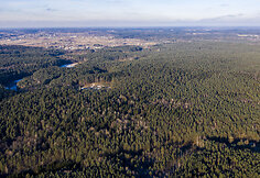 Verkių regioninis parkas