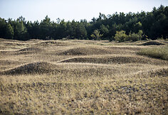 Pilkosios kopos Naglių rezervatas