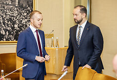 Seimo ir Pasaulio lietuvių bendruomenės komisijos posėdis