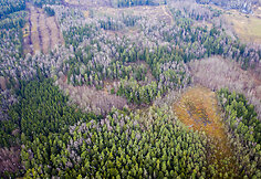 Kazoki&scaron;kių sąvartynas