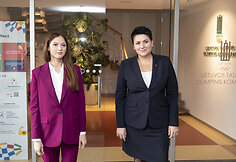 Aliaksandra Gerasimenija, Daina Gudzinevičiūtė