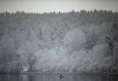 Vilnių nuklojo sniegas