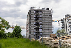 Projektas S15