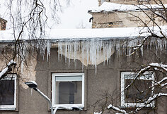 Varvekliai ant namų stogų Smetonos gatvėje