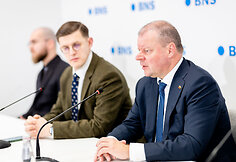 Arnoldas Pikžirnis, Saulius Skvernelis