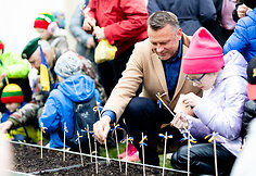 Saulėgrąžų sodinimas Tuskulėnų memoriale