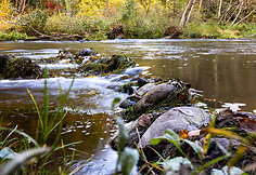 Saulėtas rudens rytas