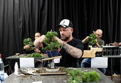 NTC Bonsai jaunųjų talentų konkursas
