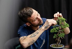 NTC Bonsai jaunųjų talentų konkursas