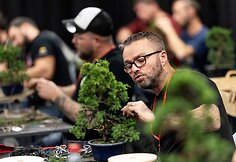NTC Bonsai jaunųjų talentų konkursas