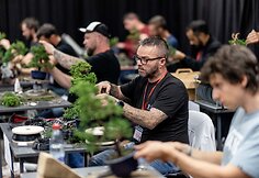 NTC Bonsai jaunųjų talentų konkursas