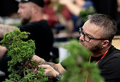 NTC Bonsai jaunųjų talentų konkursas