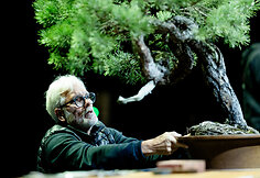Europos ir pasaulio bonsai &ndash; meistrų parodomoji demonstracija
