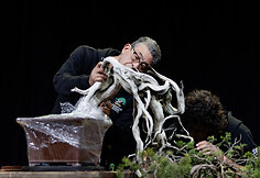 Europos ir pasaulio bonsai &ndash; meistrų parodomoji demonstracija