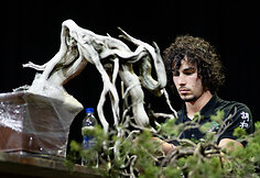 Europos ir pasaulio bonsai &ndash; meistrų parodomoji demonstracija