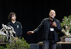 Europos ir pasaulio bonsai &ndash; meistrų parodomoji demonstracija