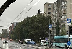 Dviejų BMW avarija Savanorių prospekte