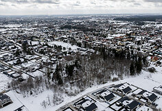 Sklypas Avižienių kaime