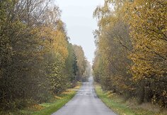 Auksinis ruduo Vilniuje