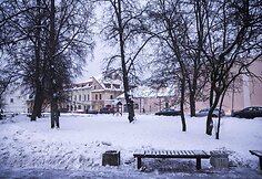 Lazdynų Pelėdos skveras