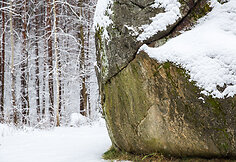 Didysis Dzūkijos akmuo
