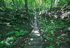 Barsuko olos geologinis takas