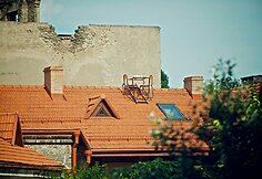 Stalelis kavai ant namo stogo Užupyje
