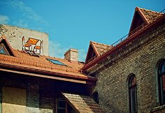 Stalelis kavai ant namo stogo Užupyje