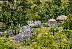 Kaimas džiunglėse (Papua provincija, Indonezija)