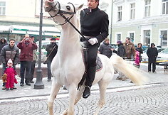 Marijus Mikutavičius