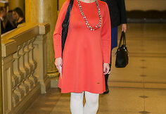 Patriko dienos &scaron;ventė Vilniuje