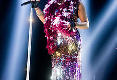 Macy Gray koncertas Vilniuje