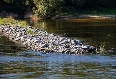 Bunų projekto užbaigimo pristatymas