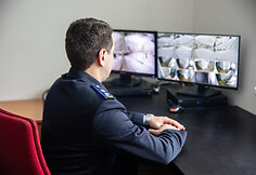 Pusiaukelės namai Domeikavoje