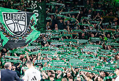 Eurolyga: „Žalgiris“ – „Real“