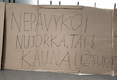 Remigijaus Žemaitaičio susitikimas Kaune