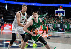 Ąžuolas Tubelis