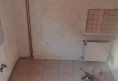 Remontuojamas Liepių šeimos namas