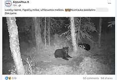 Tariamai miške Lietuvoje pastebėtų meškų nuotrauka platinama neišsiaiškinus, ar ji tikra