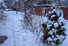 Apsnigtas Vilnius