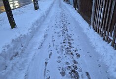 Apsnigtas Vilnius