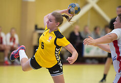 Janio Grinbergo rankinio turnyras