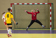 Janio Grinbergo rankinio turnyras